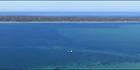 South Channel Pile - Port Philip - VIC (PBH4 00 11378)